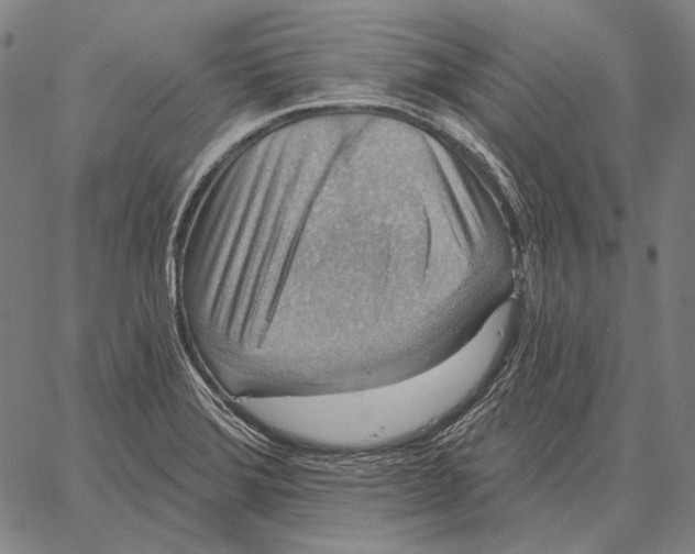 X0000066951372200604211804