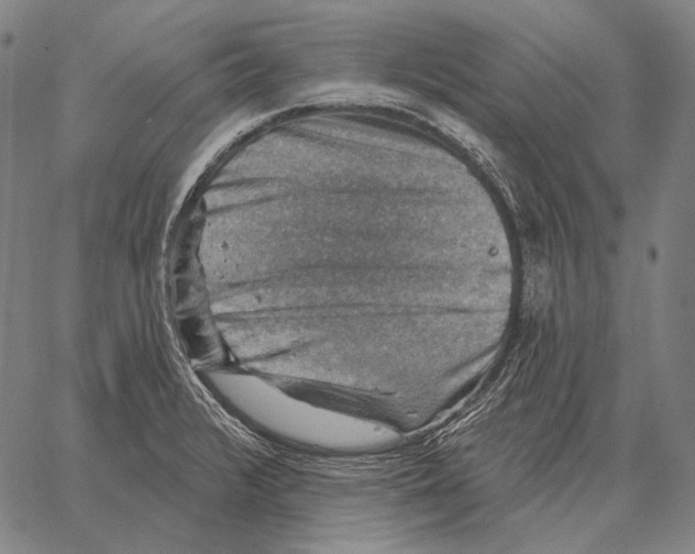 X0000066951376200604211804