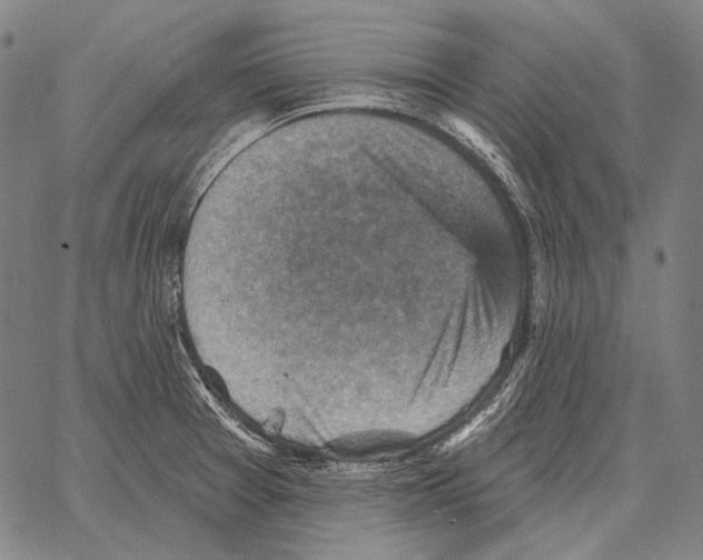 X0000066951377200604211804