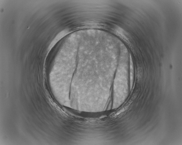 X0000066951378200604211804