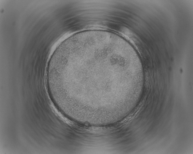 X0000066951379200604211804