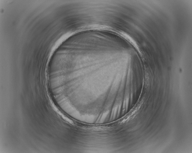 X0000066951381200604211804