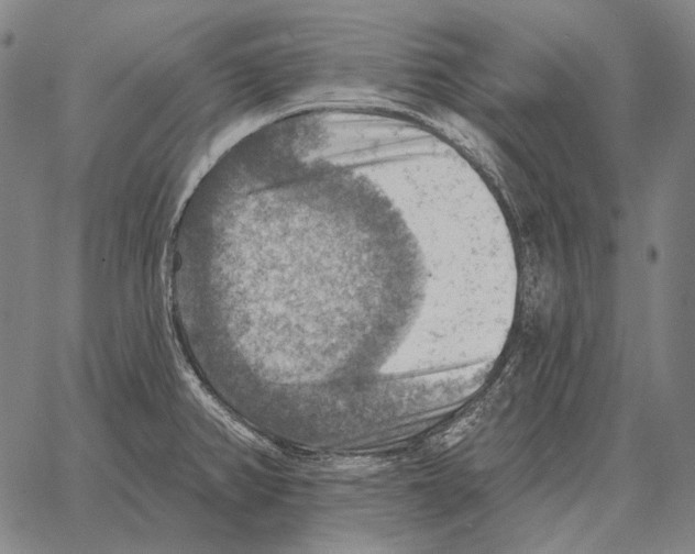 X0000066951382200604211804