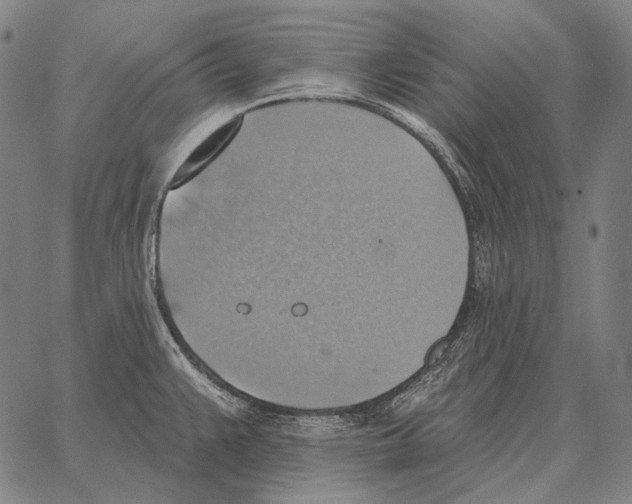 X0000066951383200604211804