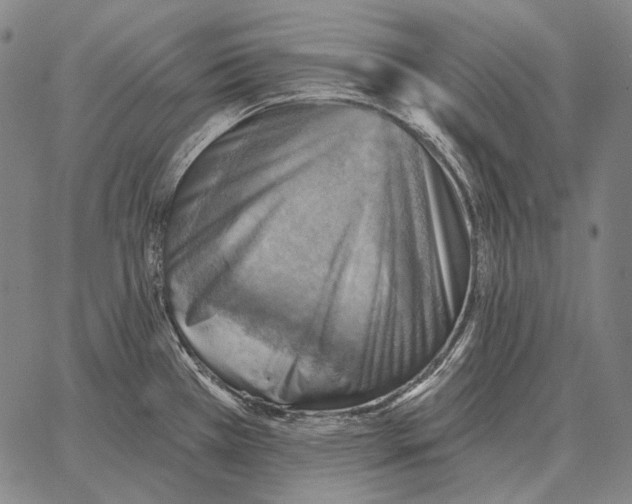 X0000066951385200604211804