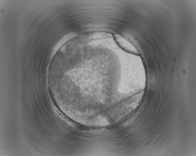 X0000066951386200604211804