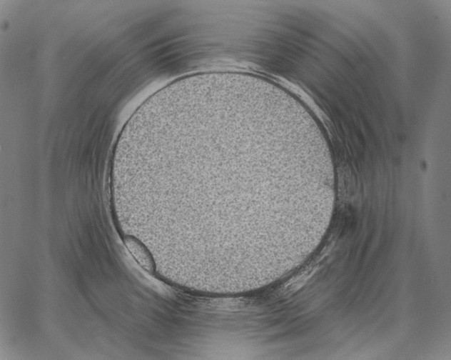 X0000066951387200604211804