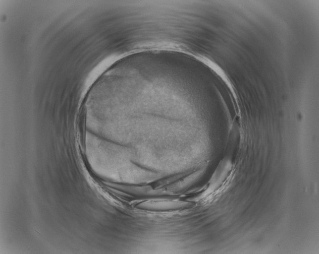 X0000066951389200604211804