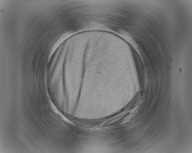 X0000066951390200604211804