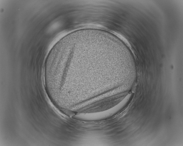 X0000066951391200604211804