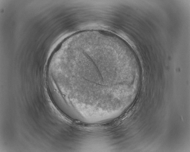 X0000066951392200604211804