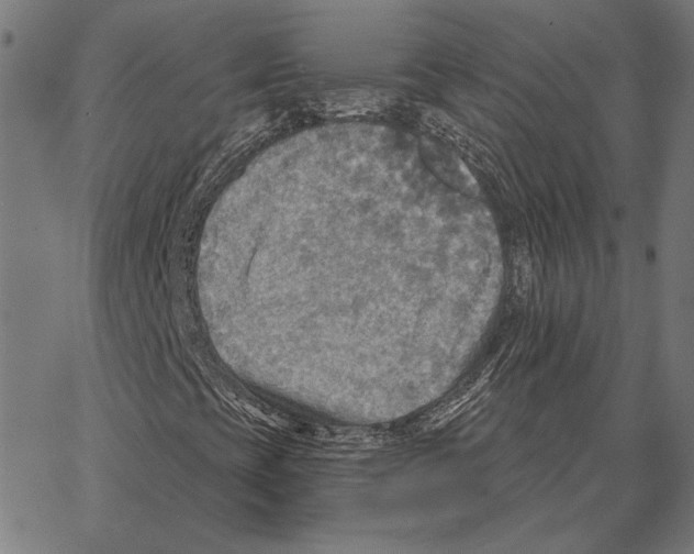 X0000066951393200604211803