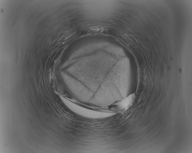 X0000066951394200604211803