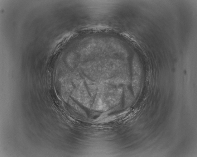 X0000066951398200604211803