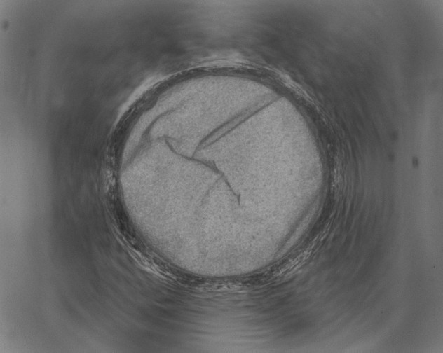 X0000066951400200604211803