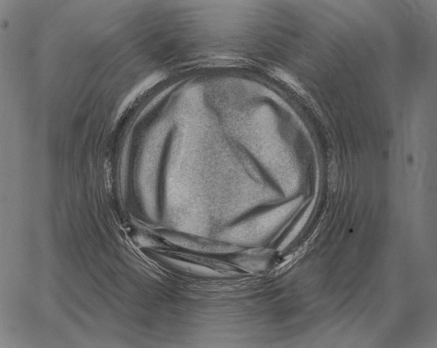 X0000066951402200604211803