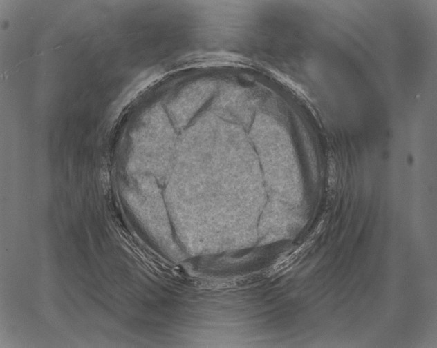 X0000066951407200604211803