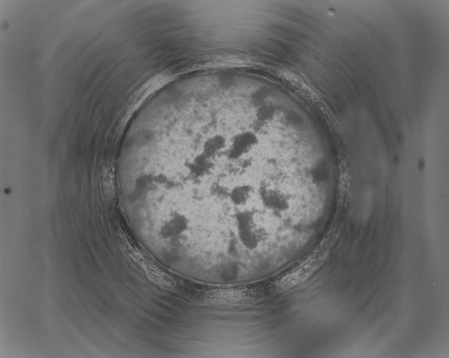 X0000066951409200604211803