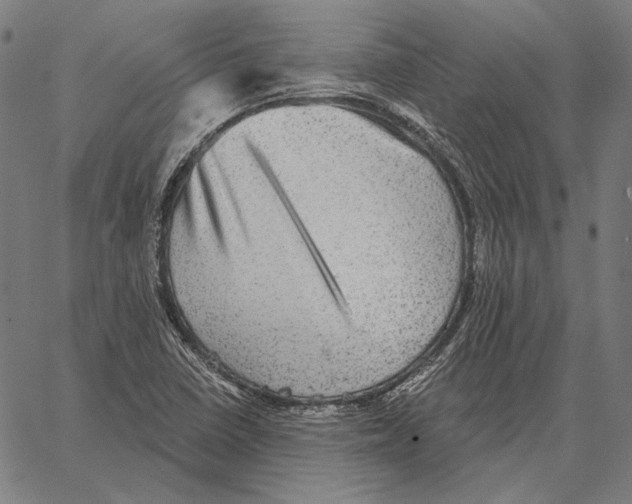 X0000066951410200604211803