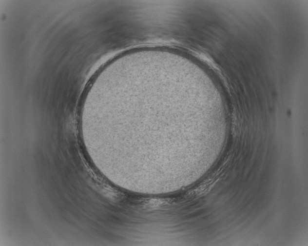 X0000066951412200604211803