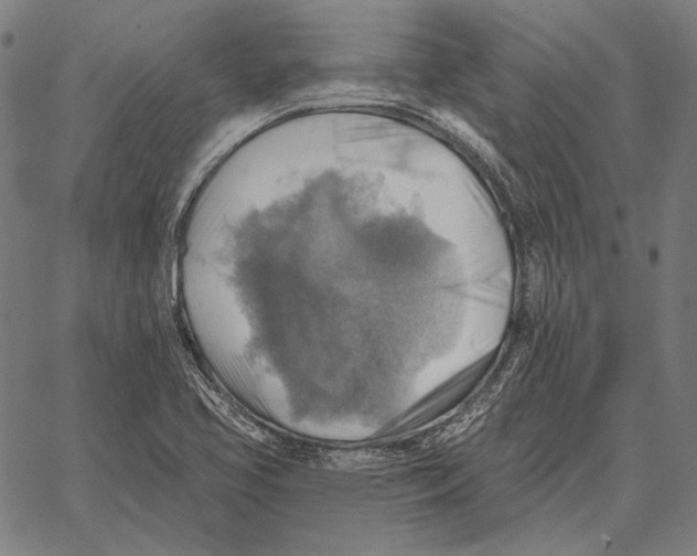 X0000066951413200604211803