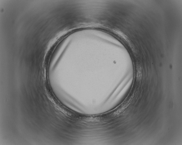 X0000066951414200604211803