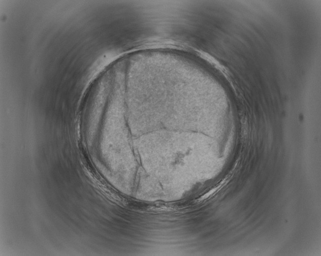 X0000066951415200604211803