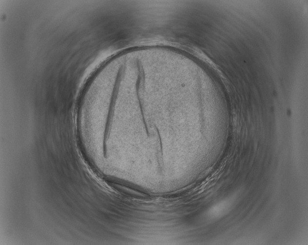 X0000066951416200604211803