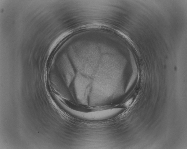 X0000066951418200604211803