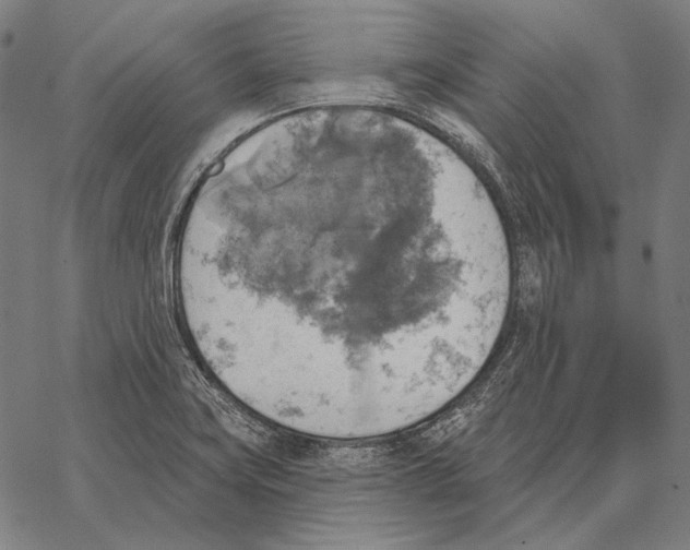 X0000066951419200604211804