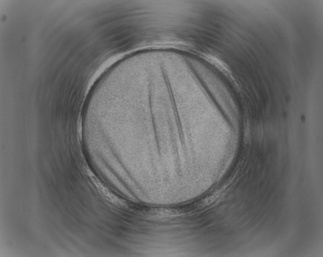 X0000066951420200604211804