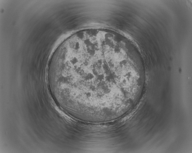 X0000066951421200604211804