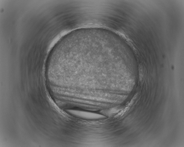 X0000066951422200604211804