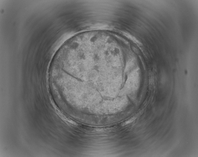 X0000066951423200604211804