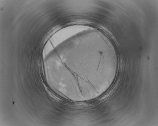 X0000066951425200604211804