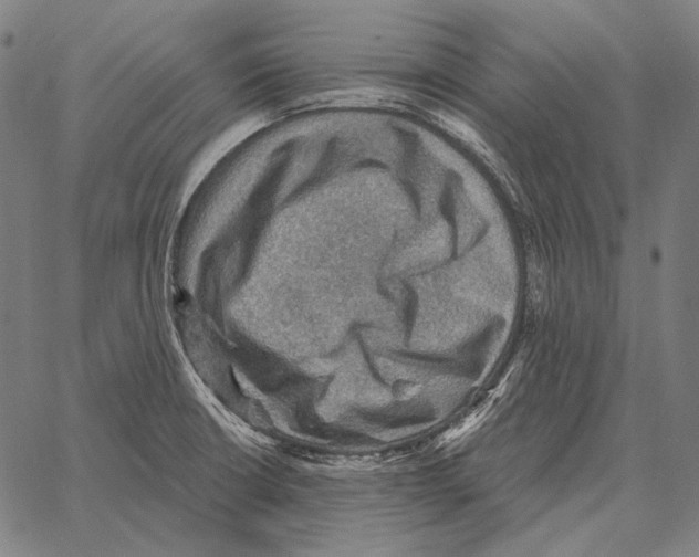 X0000066951426200604211804