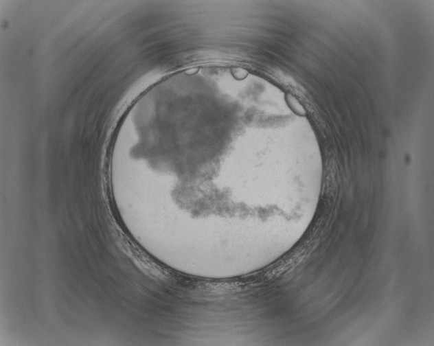 X0000066951427200604211804