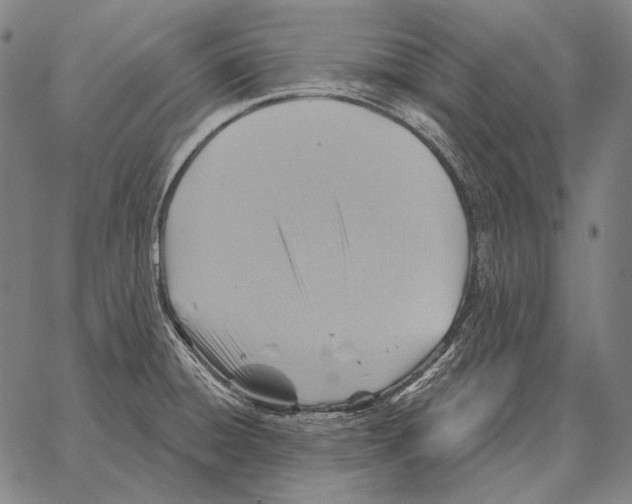 X0000066951428200604211804