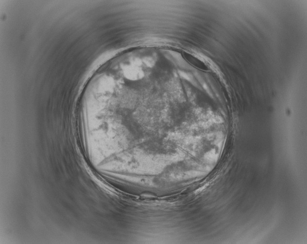 X0000066951429200604211804