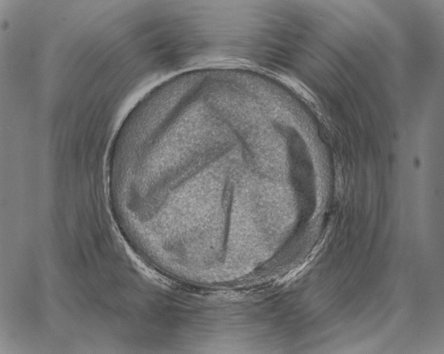 X0000066951430200604211804