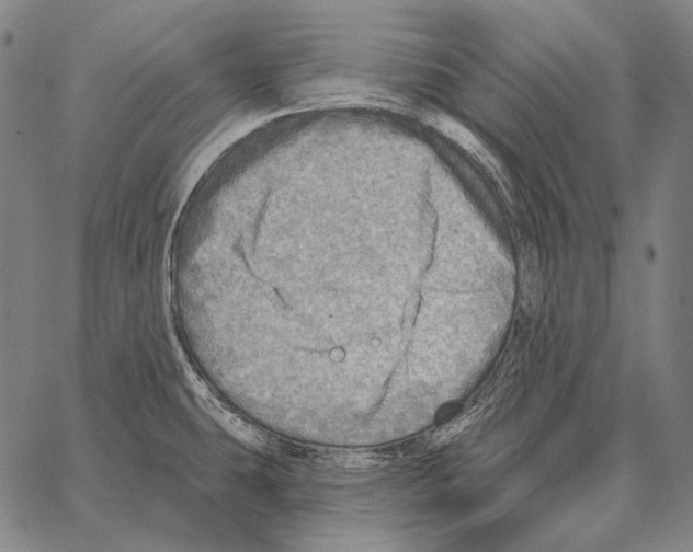 X0000066951431200604211804