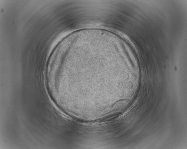 X0000066951432200604211804