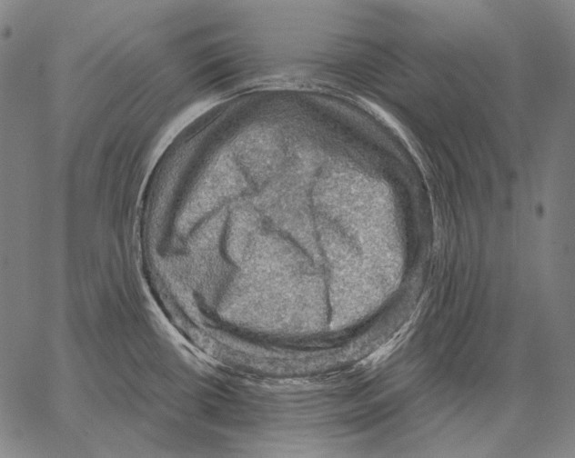 X0000066951434200604211804