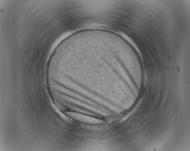 X0000066951437200604211804