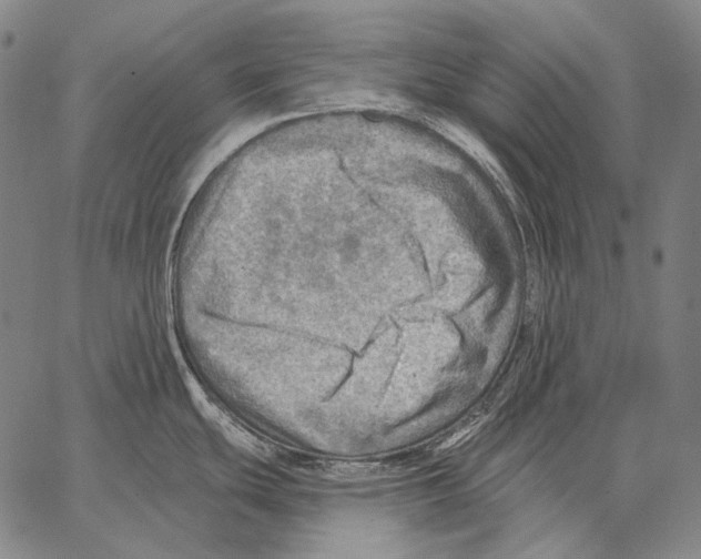 X0000066951439200604211804