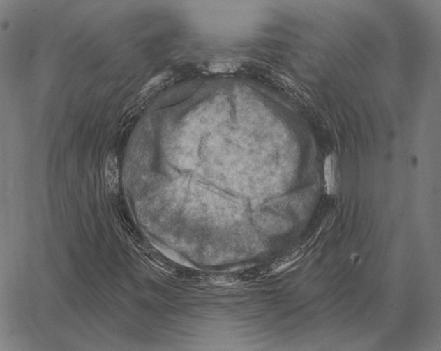 X0000066951443200604211803