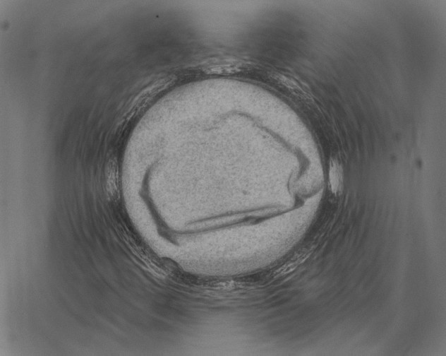 X0000066951444200604211803