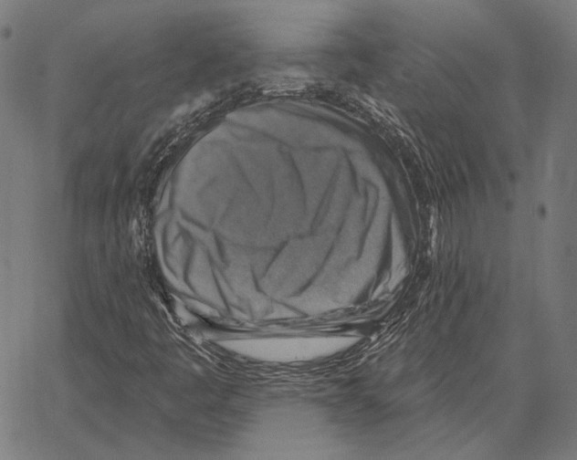 X0000066951445200604211803