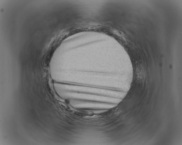 X0000066951447200604211803