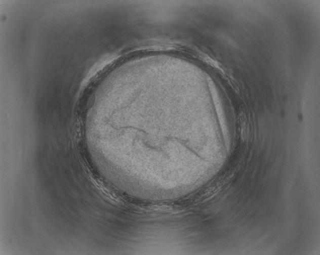 X0000066951448200604211803